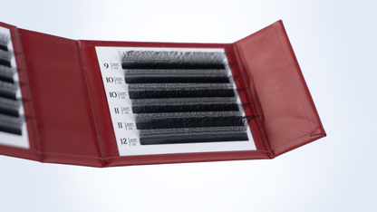 3D Flip - Curvaturas CC, C e D